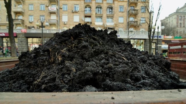 Землю на клумбах заменили свежим черноземом