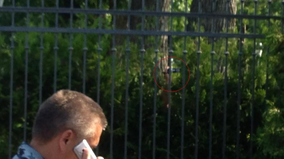 "За забором Межигорья - рука с камерой. Карикатурно", - подпись автора фото, народного депутата Владимира Арьева