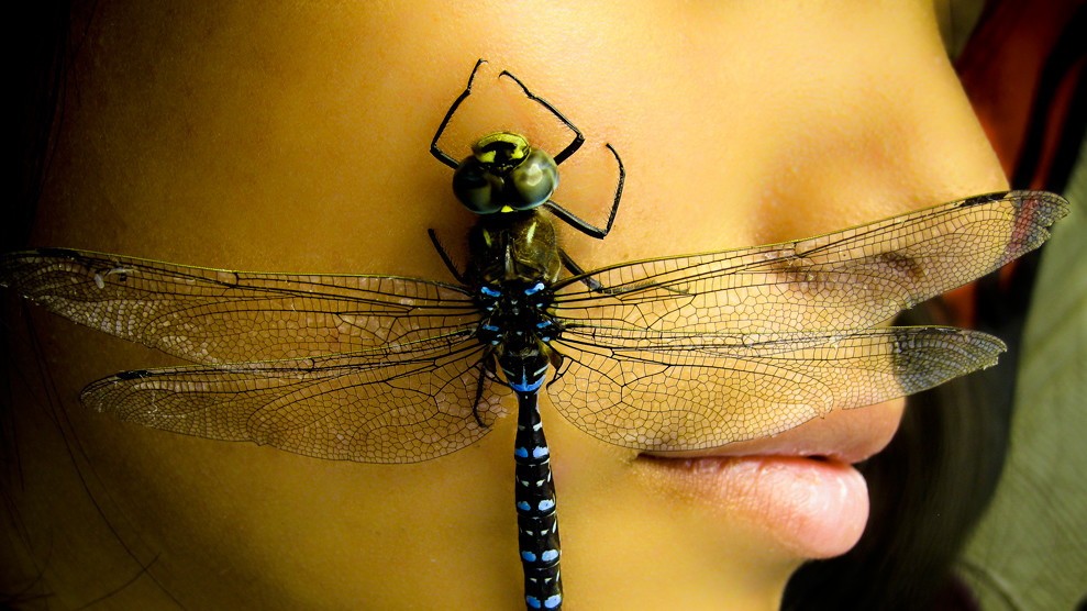 «Стрекоза». Когда мы с подругой отдыхали на озере Яргер, Аляска, на её лицо села эта красивая стрекоза. (Pavel Mach)