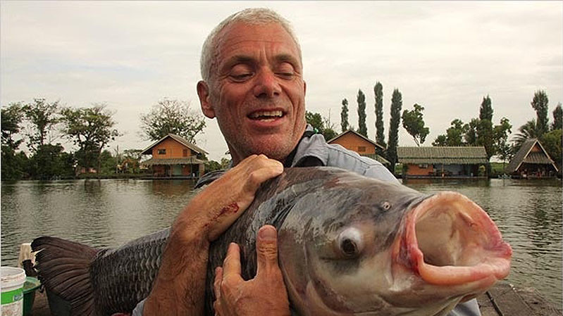 Огромный сиамский карп из реки Меконг. И это еще не взрослая особь. Он может вырастать до 3 метров и весить до 300 кг, что делает его одной из 

самых больших пресноводных рыб на нашей планете.