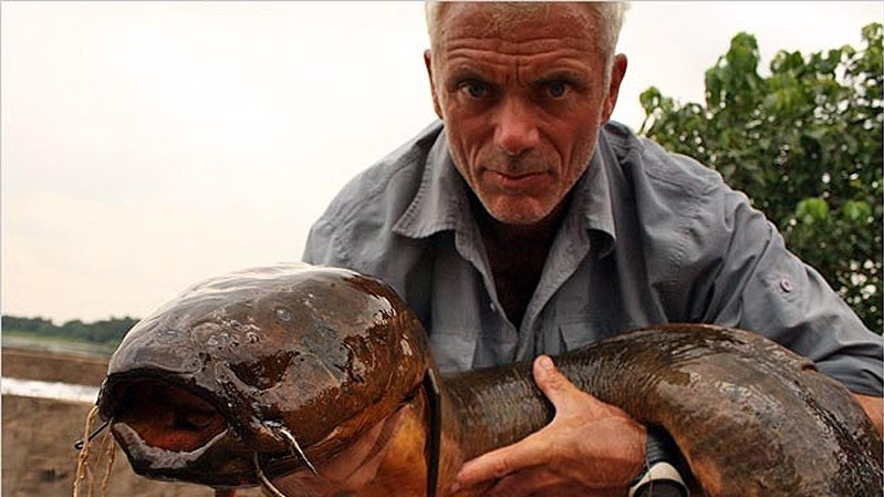 Протоптер. Крупнейшая особь может достигать 2 метра в длину.