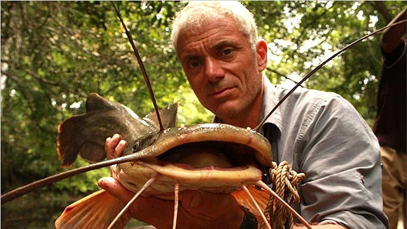 Сом вунду, который может достигать 1,5 метра в длину, а максимальный вес его составлял 54 кг.