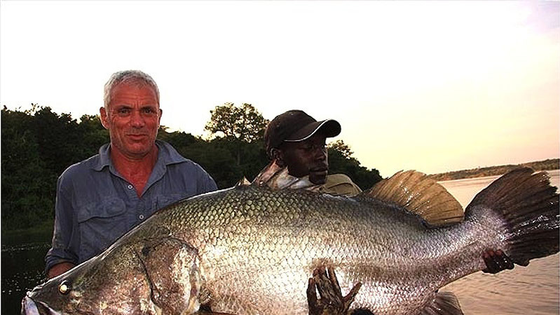 Нильский окунь. Может вырасти до 1,8 м в длину и до 225 кг весом.