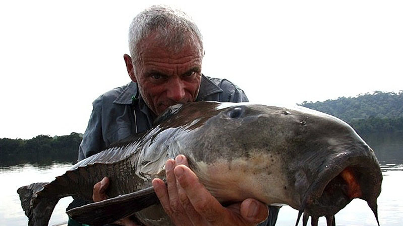 Похожий на какую-то доисторическую рыбу сом из реки Ориноко, известный в этих местах под названием Кую-кую. Он может достигать метра в длину и 

18 кг веса. В задней части тела рыбы есть отростки, поддерживающие хвостовой плавник, из-за чего она и похожа на рыбу-броненосца из другой эпохи.