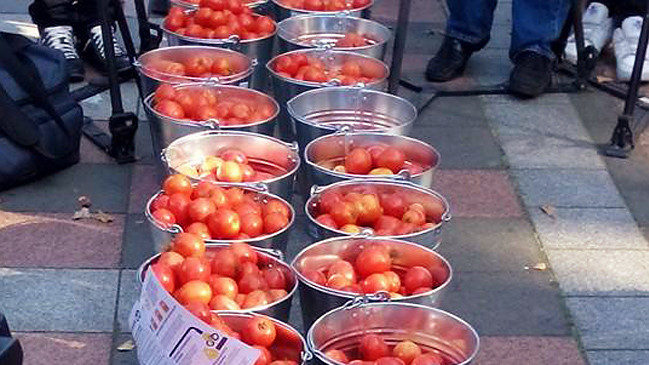 Активисты поупражнялись в "стрельбе" помидорами по депутатам