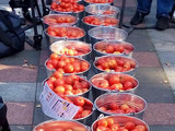 Активисты поупражнялись в "стрельбе" помидорами по депутатам