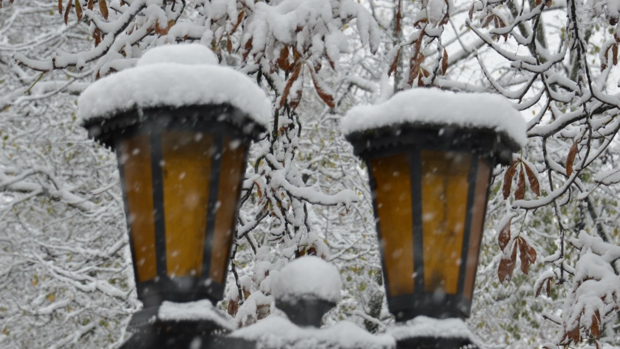 У понеділок очікується сніг з дощем