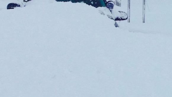 У великих містах чотирьох штатів оголошений режим НС і зупинена робота всього громадського транспорту