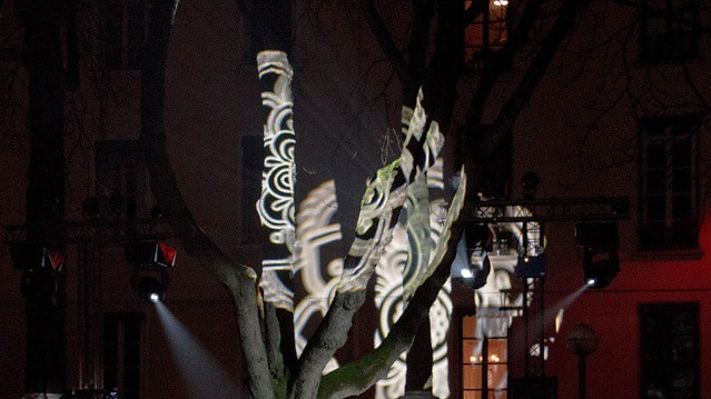 Фестиваль Света в Лионе собрал тысячи посетителей со всего мира.