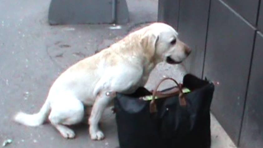 СБУ запобігла терактам в Херсоні