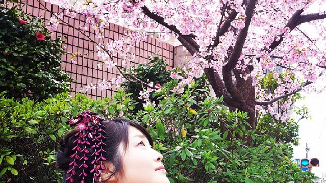 Нежные цветки сакуры символизируют в японской культуре мимолетность жизни.