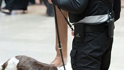 Шоколадний Бенедикт Камбербетч красується в торговому центрі