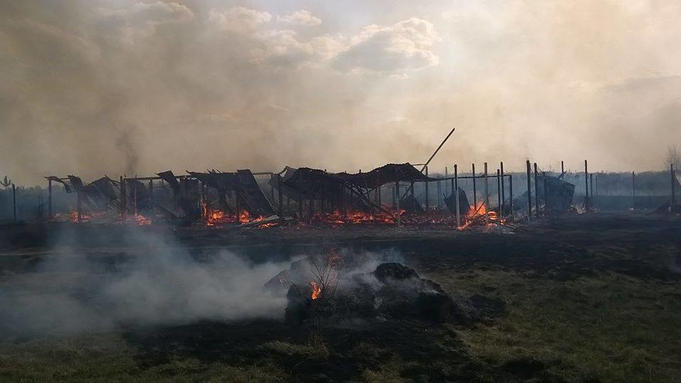 Все, що залишилося від притулку "Refugio" під Києвом, Лесовичи. Фото: Яна Ренк