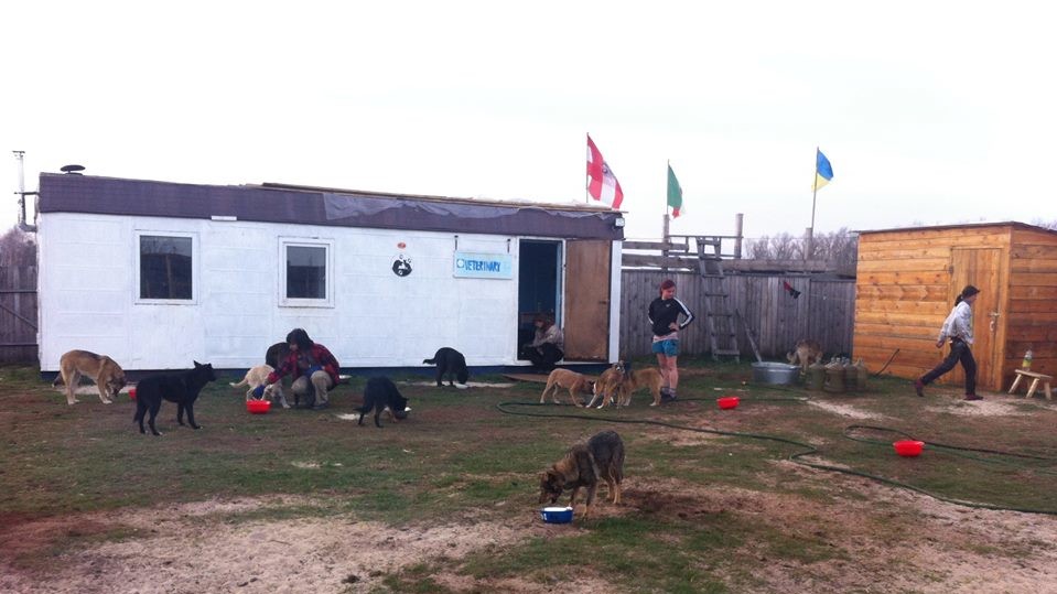 Все, що залишилося від притулку "Refugio" під Києвом, Лесовичи. Фото: Яна Ренк