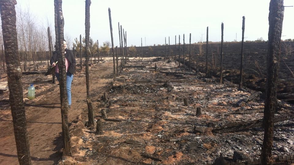 Все, що залишилося від притулку "Refugio" під Києвом, Лесовичи. Фото: Яна Ренк