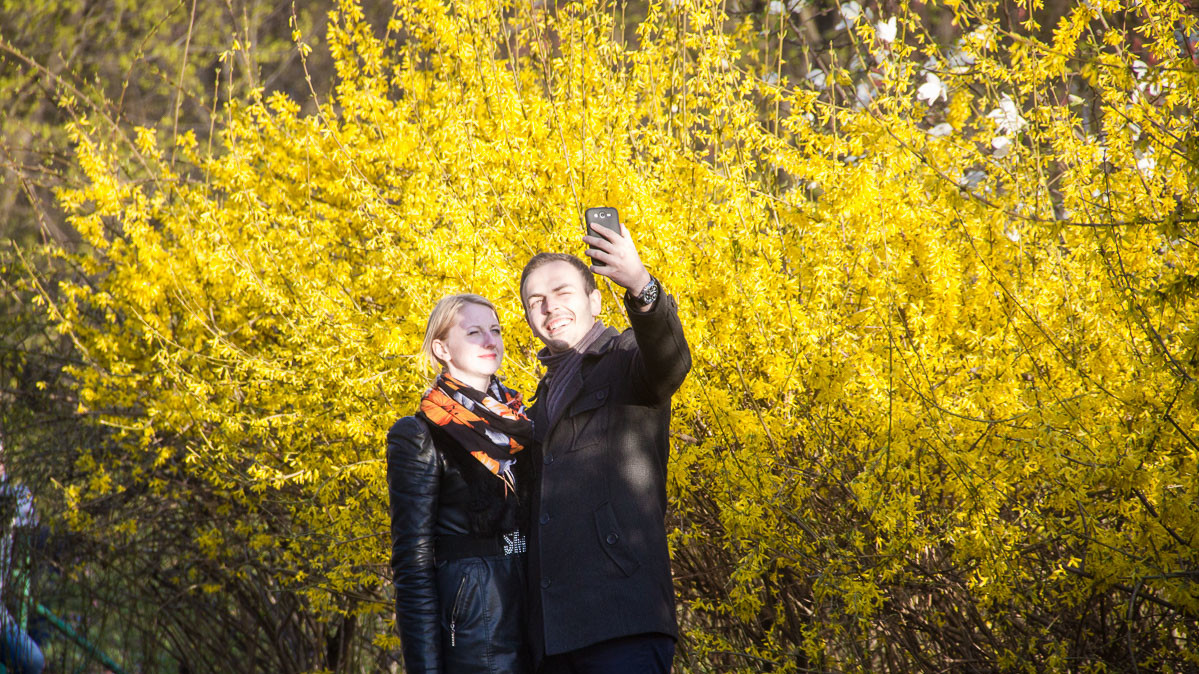 Вид цветущих кустов и деревьнв радует киевлян