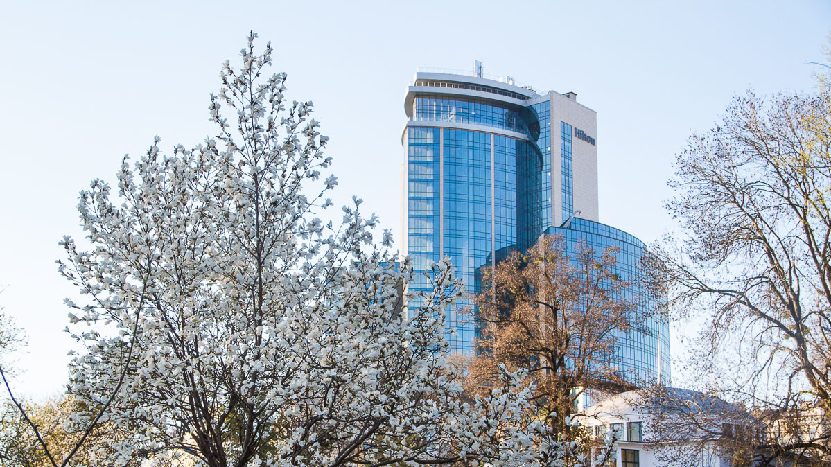 Вид цветущих кустов и деревьев радует киевлян