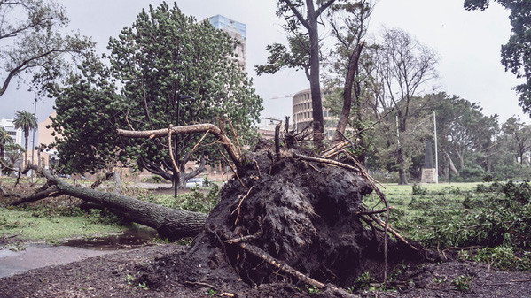 Последствия стихии