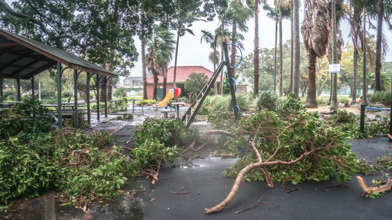 Последствия стихии