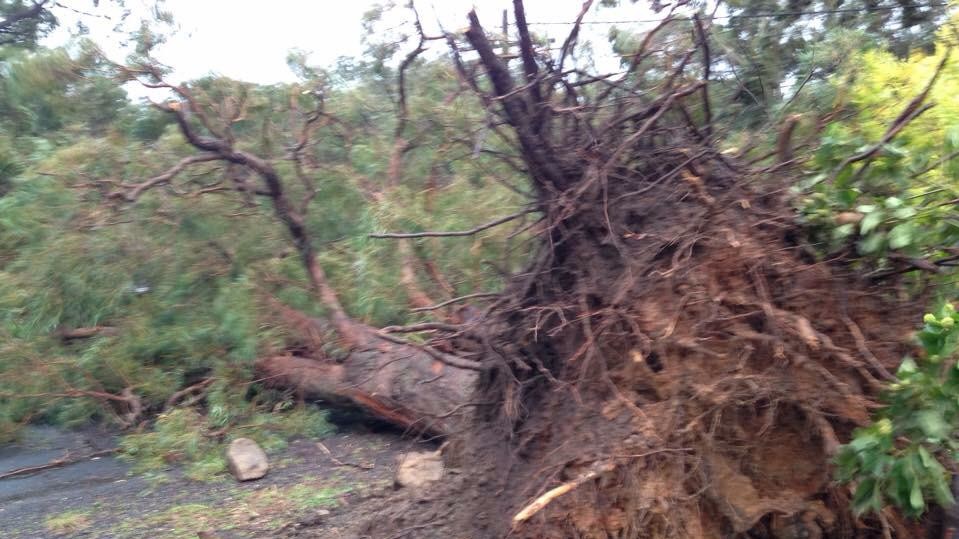 Последствия стихии