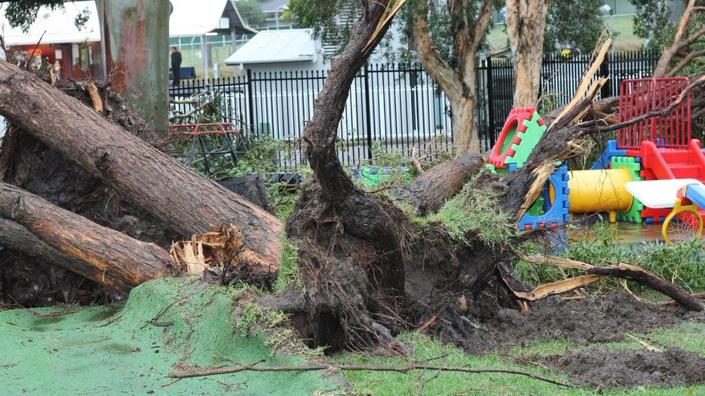 Последствия стихии