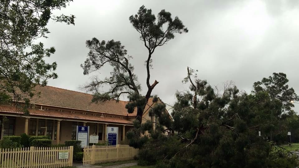 Последствия стихии