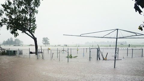 Последствия стихии