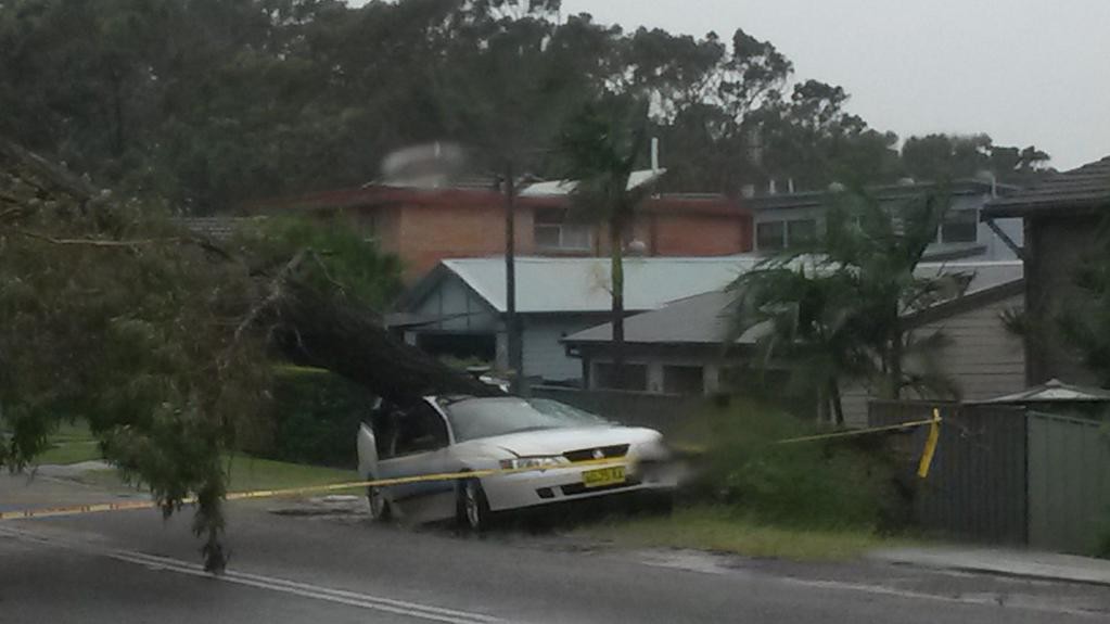 Последствия стихии