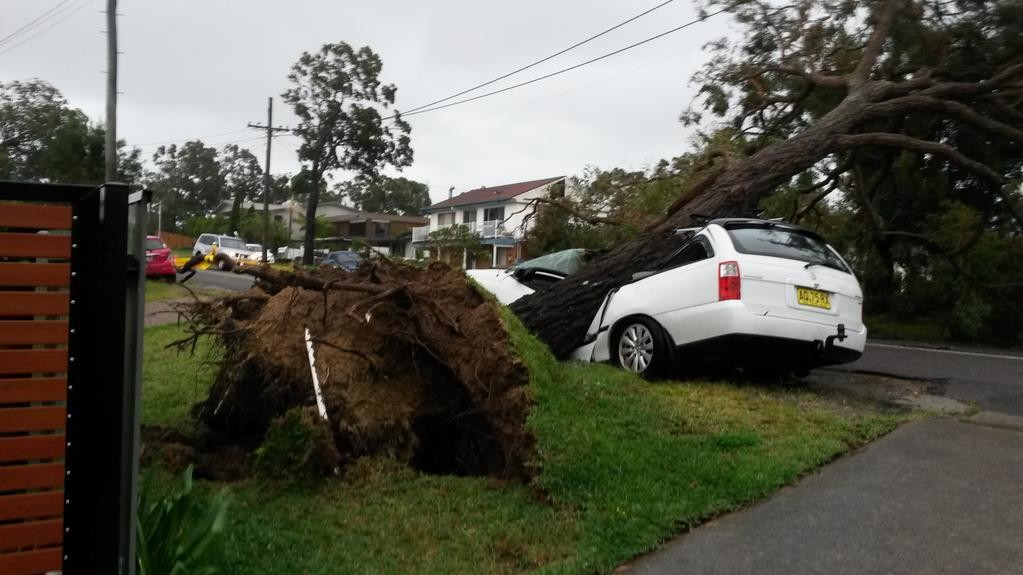 Последствия стихии