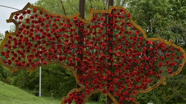 8 мая Киев украсили маками