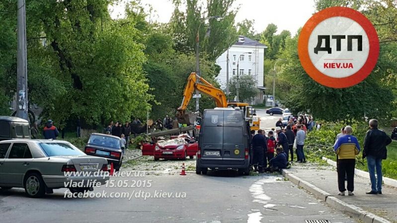 Авария произошла в результате локального урагана/фото dtp.kiev.ua
