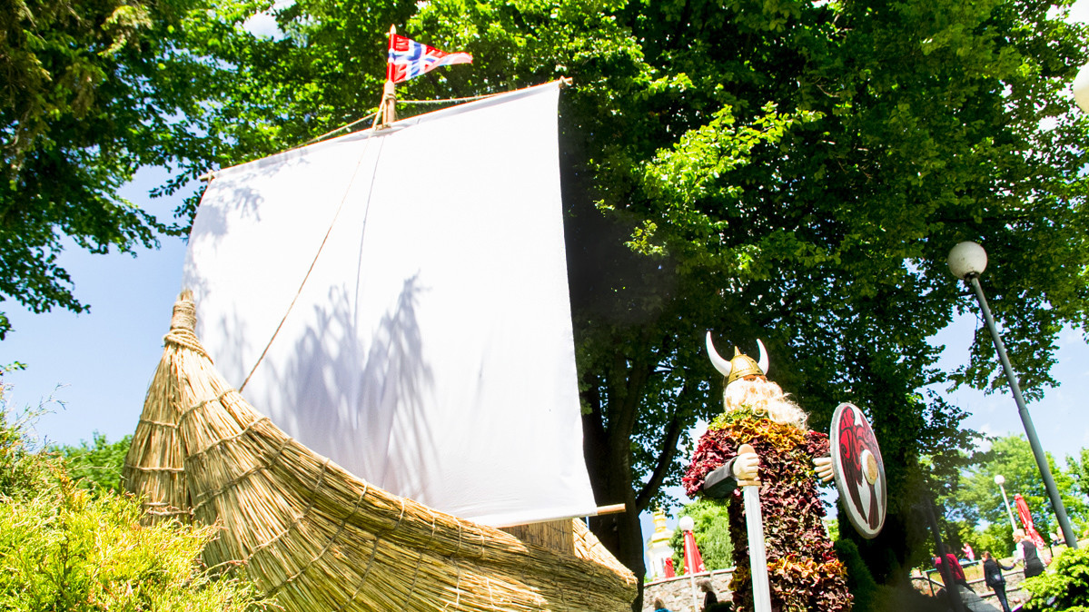 Необычные композиции из цветов привлекли внимание посетителей