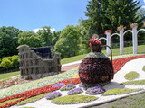 Незвичайні композиції з квітів привернули увагу відвідувачів