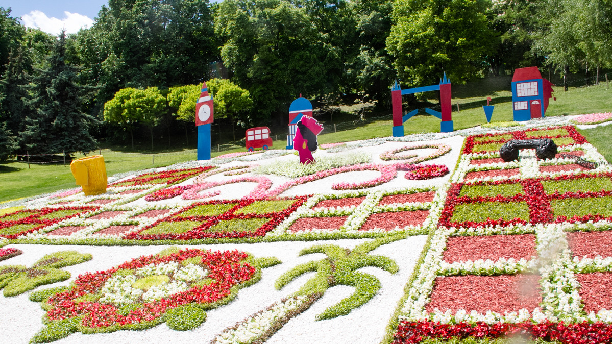 Необычные композиции из цветов привлекли внимание посетителей