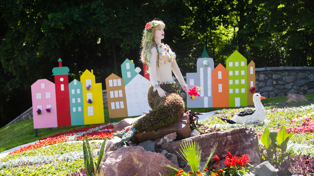 Необычные композиции из цветов привлекли внимание посетителей