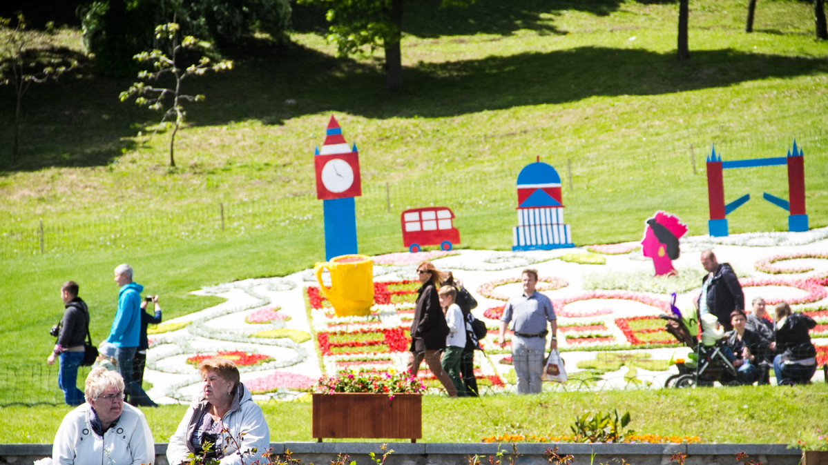 Необычные композиции из цветов привлекли внимание посетителей