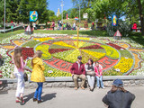 Необычные композиции из цветов привлекли внимание посетителей