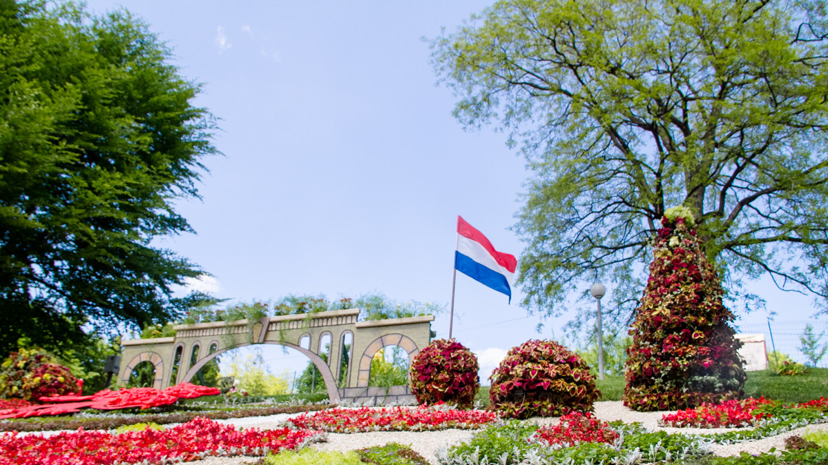 Необычные композиции из цветов привлекли внимание посетителей