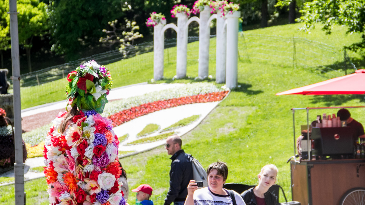 Необычные композиции из цветов привлекли внимание посетителей