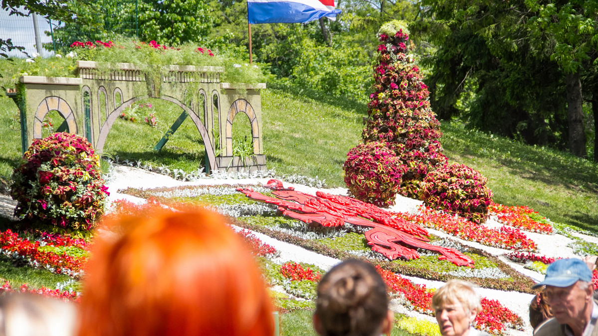 Необычные композиции из цветов привлекли внимание посетителей