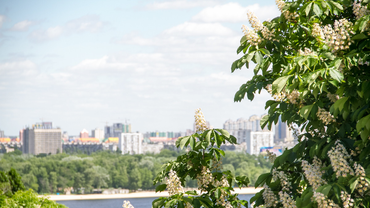 Необычные композиции из цветов привлекли внимание посетителей