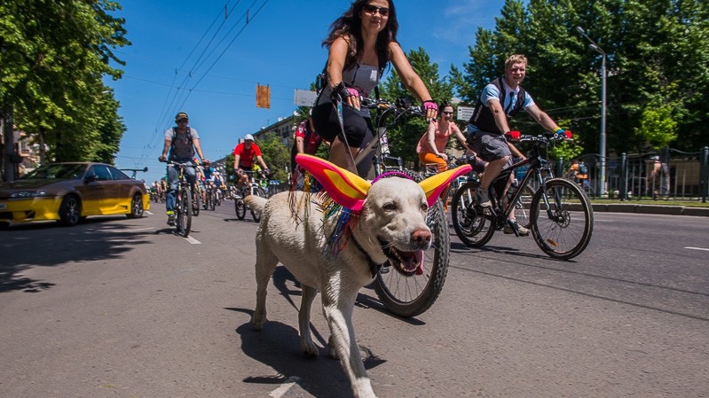 В Харькове прошел Велодень