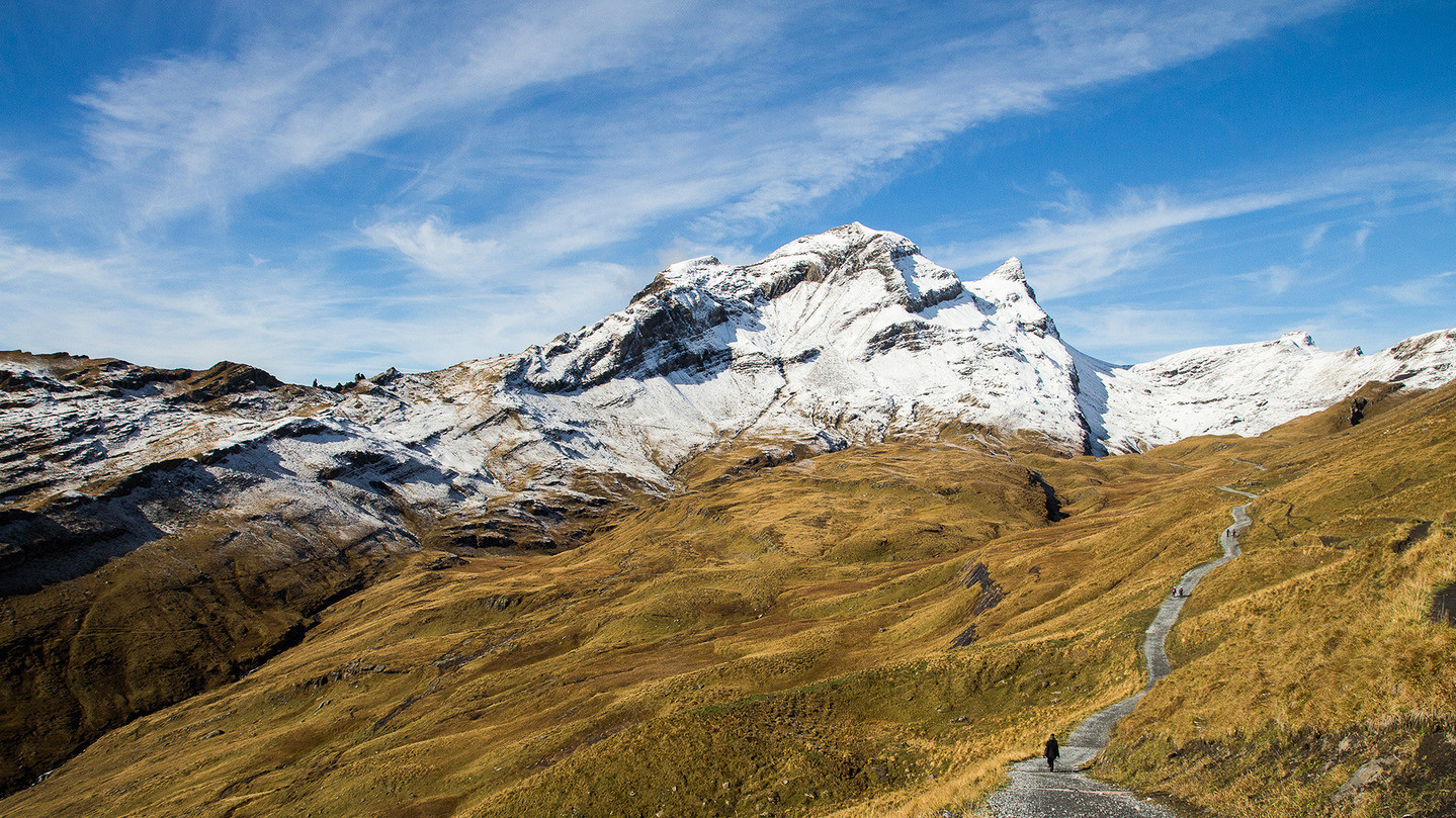 GENEVIEVE SCHNEIDER. Швейцарія