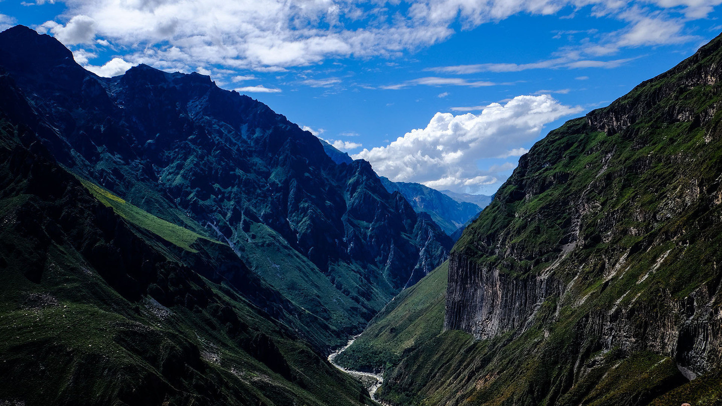 RYAN-TONEGAWA. Перу