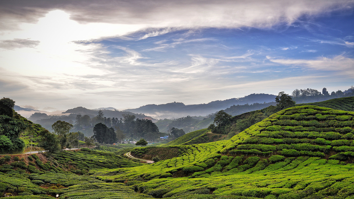 MOHAMED ARIS. Малазія