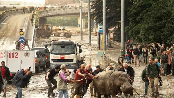 У Тбилисі пройшов руйнівний злива