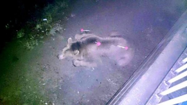 У Тбилисі пройшов руйнівний злива