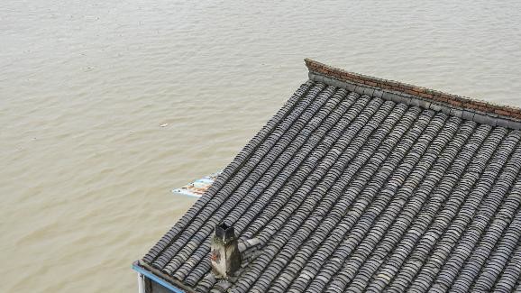 Последствия тайфуна Чан-Хом