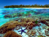 9 місце. Великий Бар'єрний риф, Австралія
