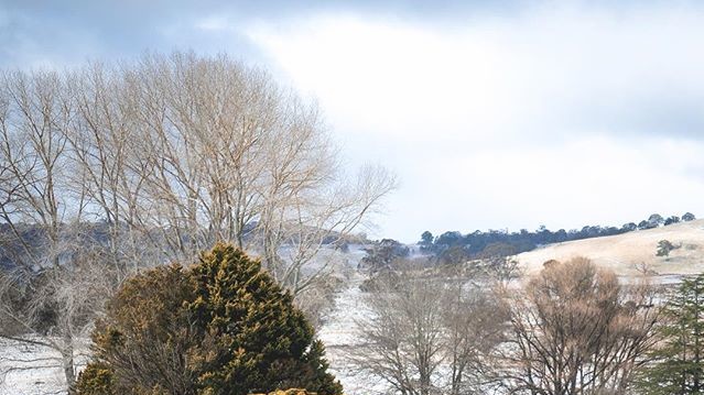 Зима в Австралії